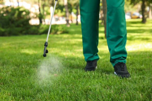 Best Rat Extermination Near Me  in Ontario, CA