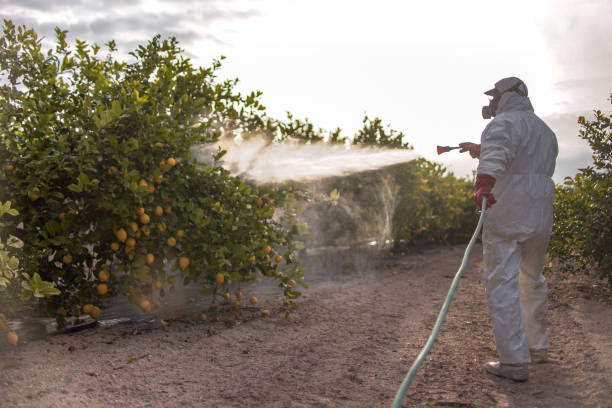 Best Local Pest Control Services  in Ontario, CA