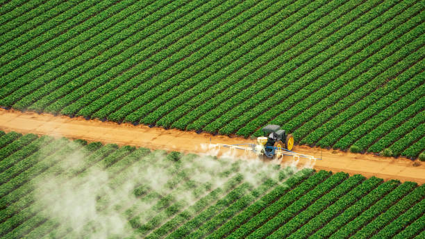Reliable Ontario, CA Pest Control Solutions